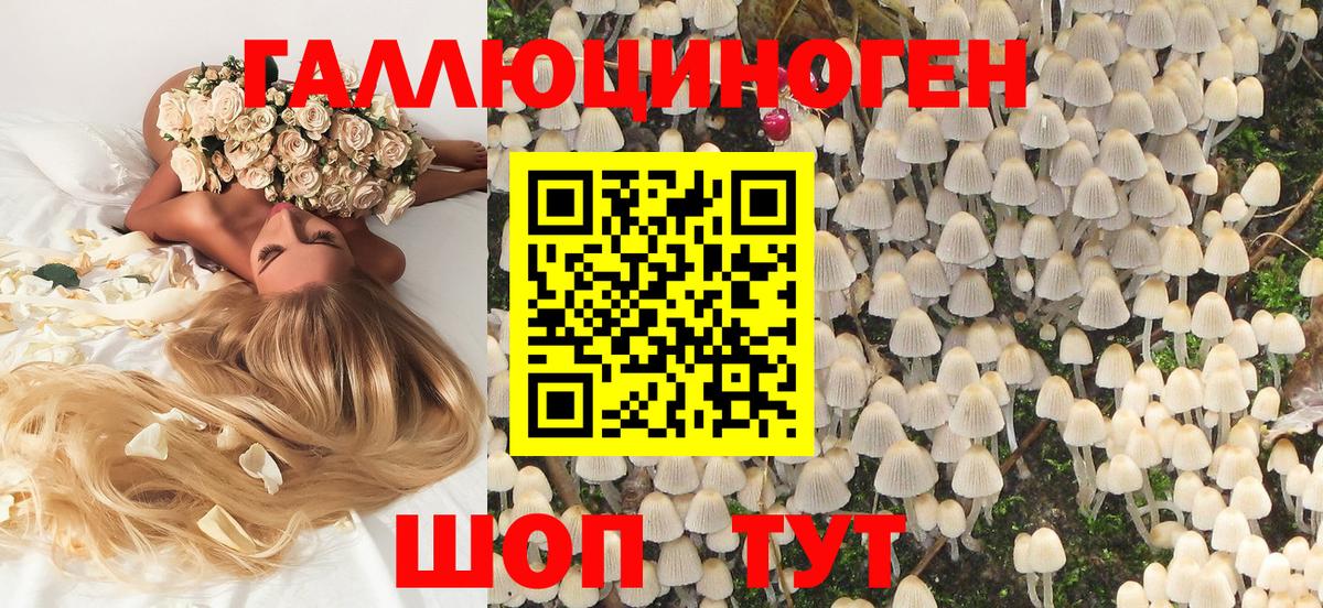Губаха  Галлюциногенные грибы прущие грибы  где можно купить наркотик  Вход с VPN 