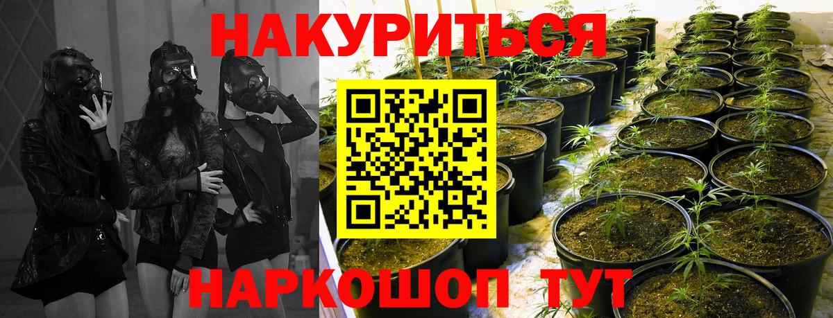МАРИХУАНА THC 21%  Бошки Шишки марихуана  Губаха  Марихуана OG Kush  Вход с VPN  Конопля гибрид 